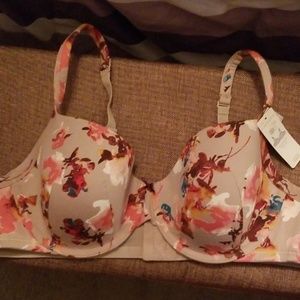 Lane Bryant Cacique bra 42C